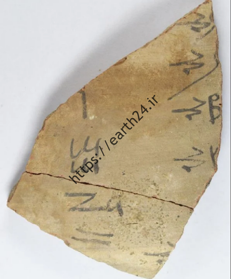 (تصاویر) کشف بزرگ ترین مجموعه «دفترهای یادداشت» مصر باستان!