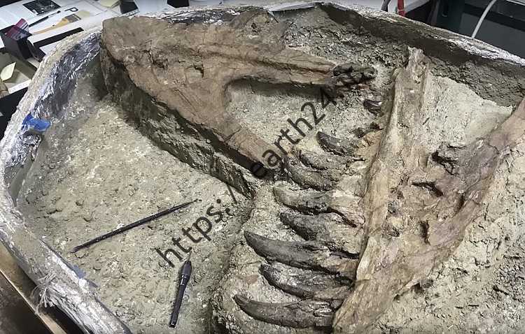 برای دوستت موفق باشی
