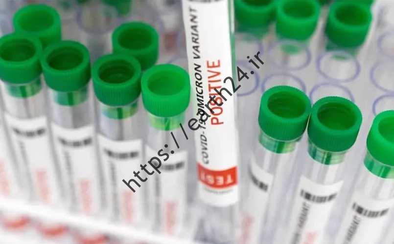 نام رئیس وزارت امور خارجه چیست؟