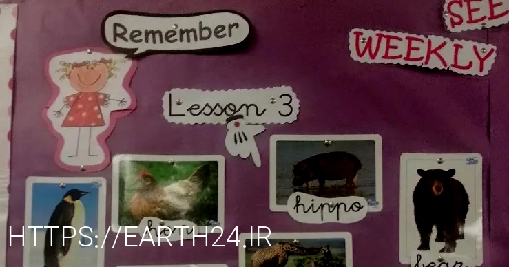 What do animals eat